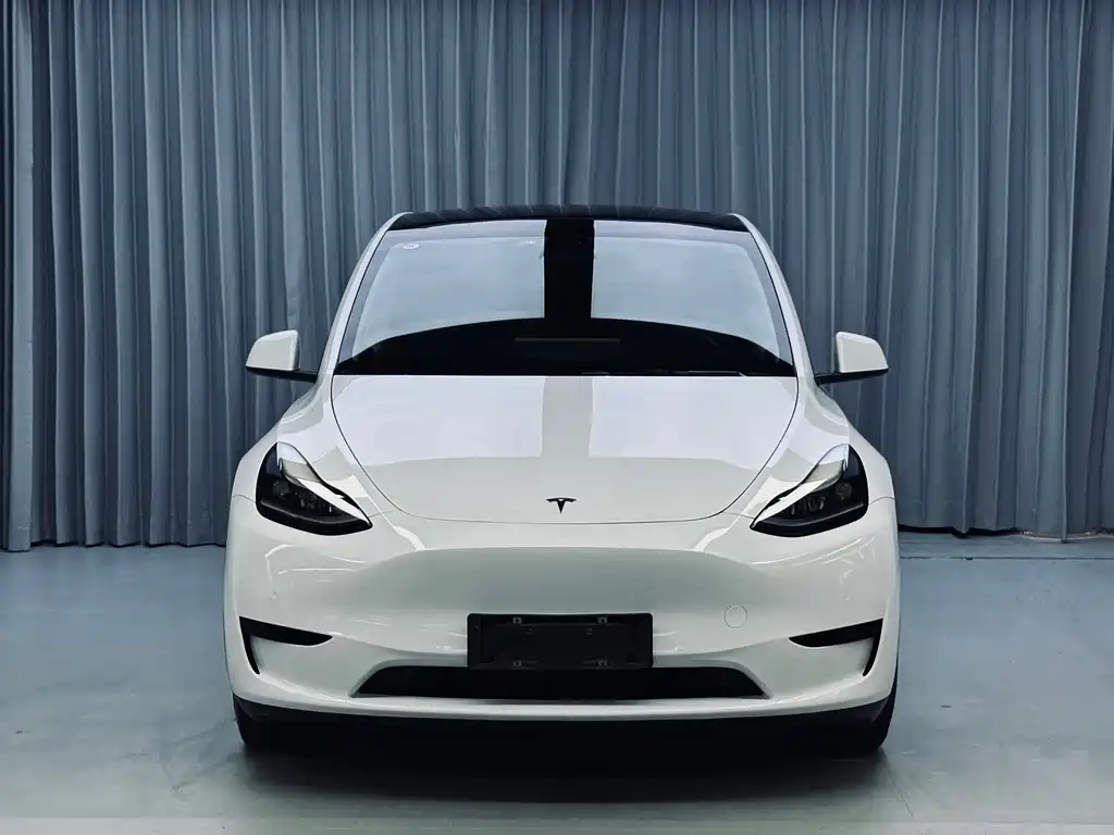 Tesla Model Y — миниатюра 2