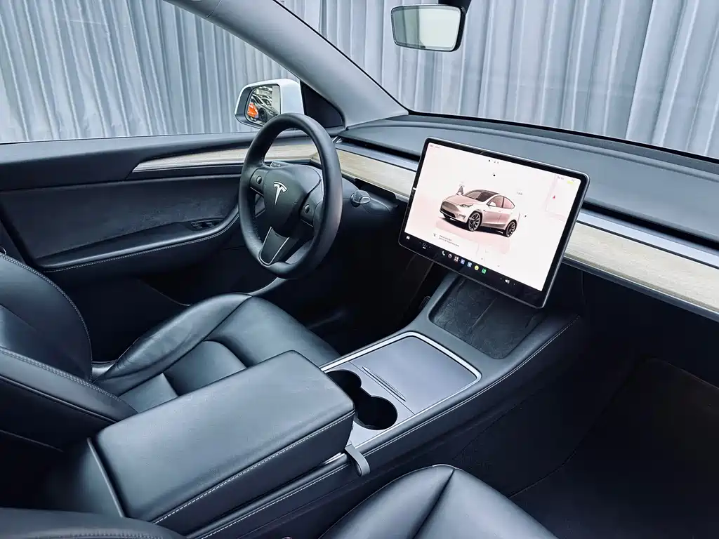 Tesla Model Y — миниатюра 15