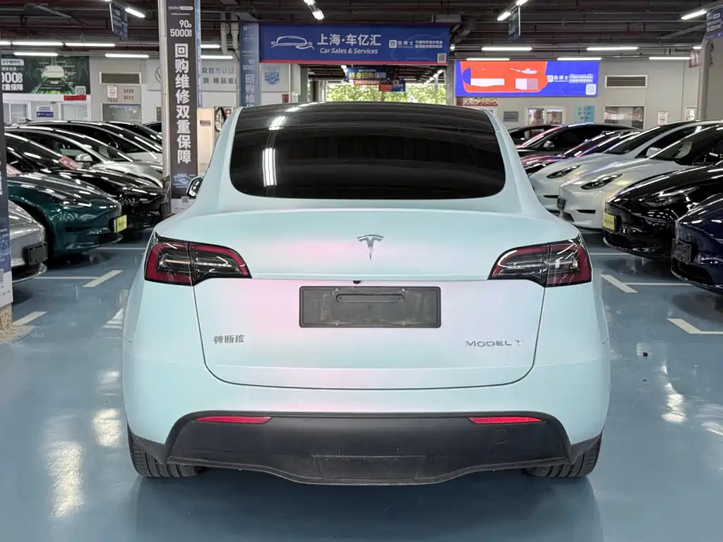 Tesla Model Y — миниатюра 5