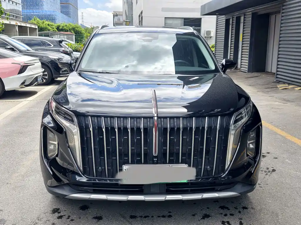 Hongqi Hongqi HS7 PHEV — миниатюра 2
