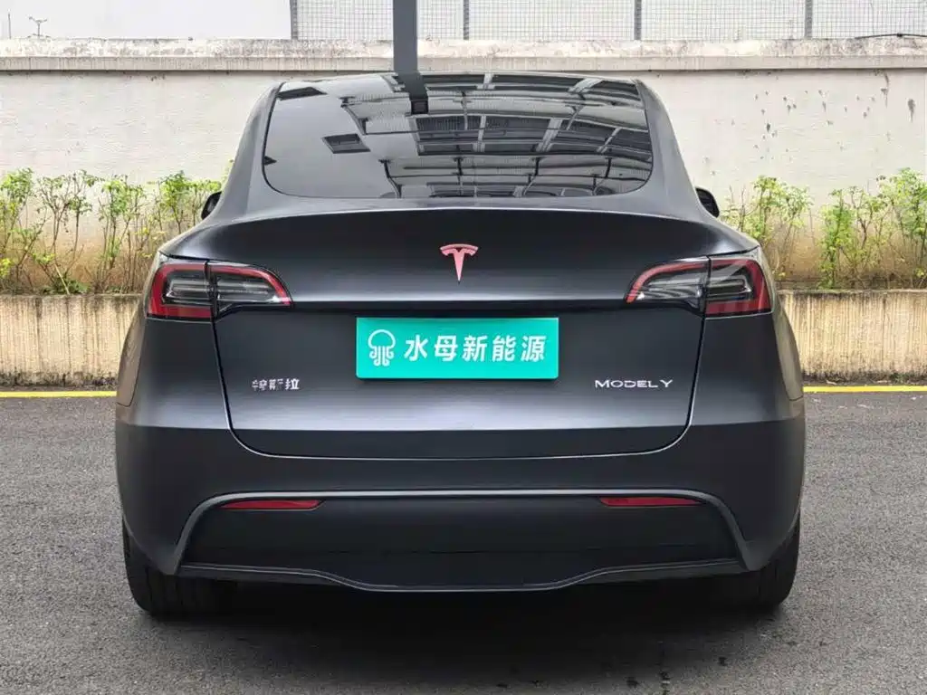 Tesla Model Y — миниатюра 7