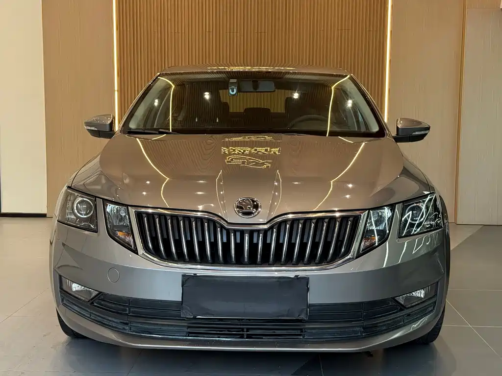 Skoda Octavia — миниатюра 2