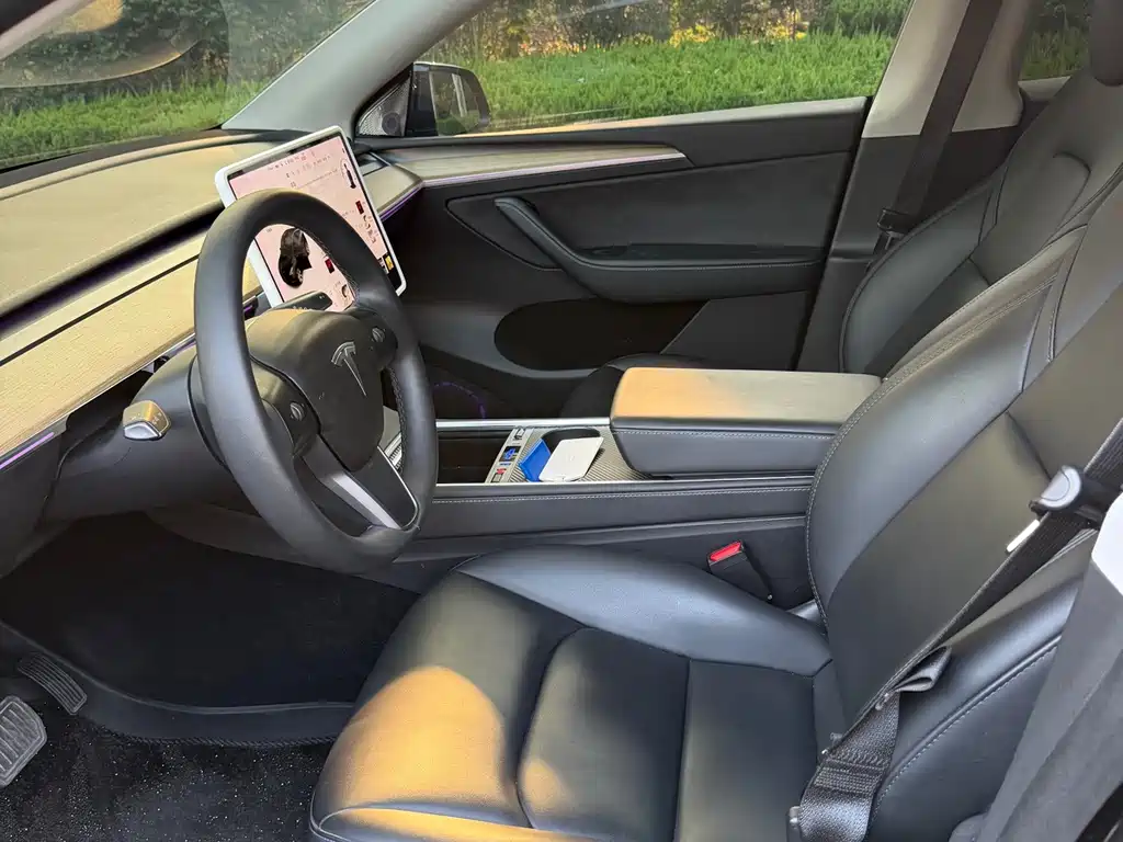 Tesla Model Y — миниатюра 5