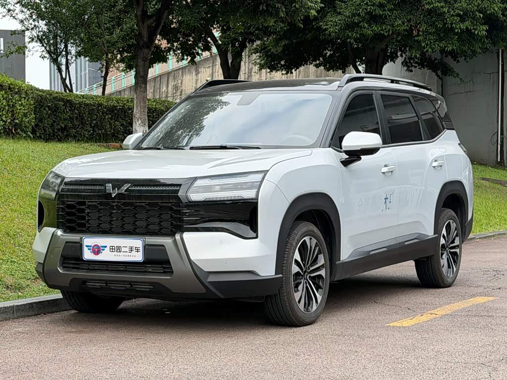 Wuling Starlight 560