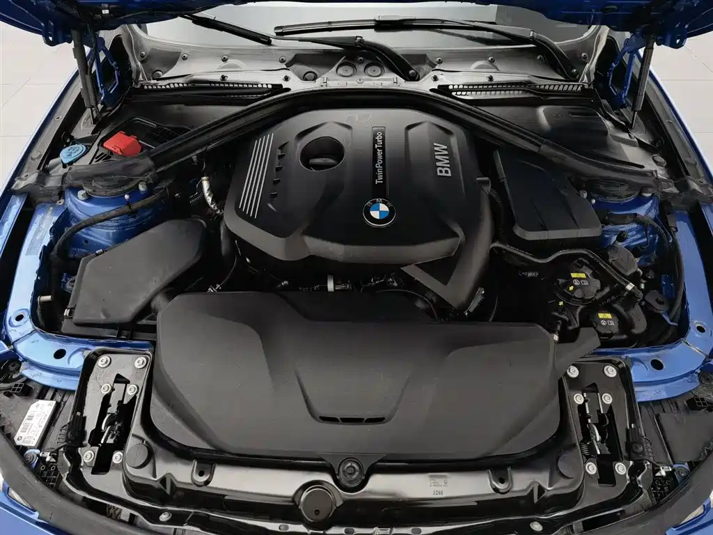 BMW 3 Series 3 2019 320Li M Sport