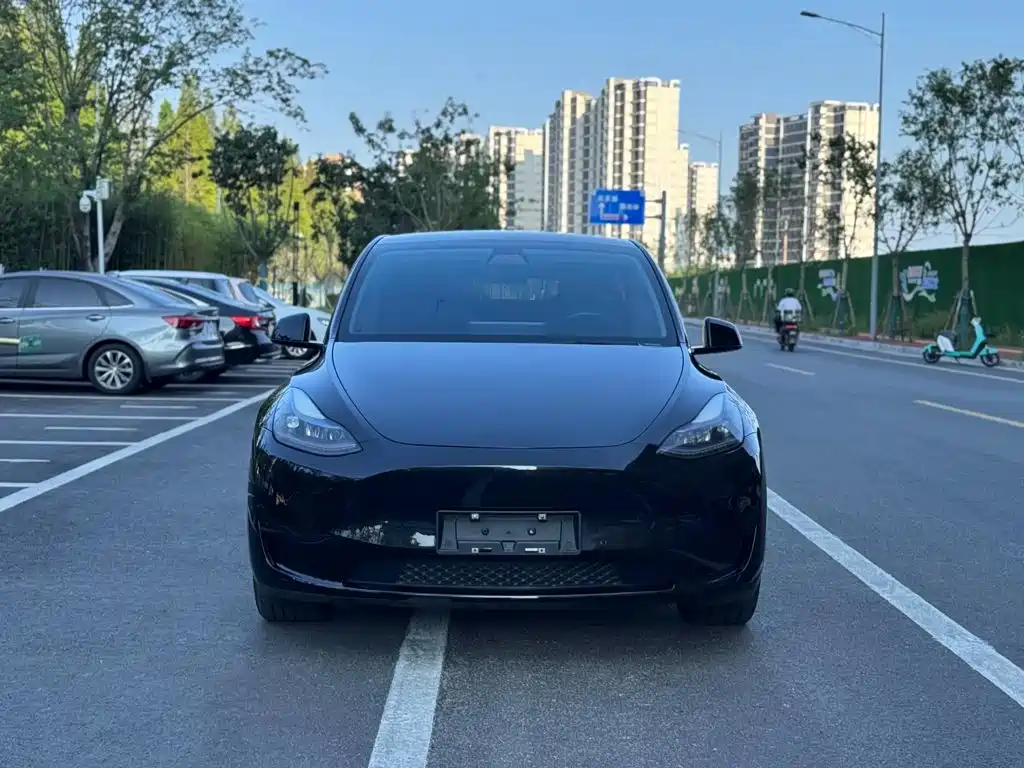Tesla Model Y — миниатюра 2
