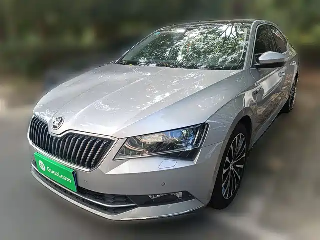 SKODA SPEED PIE 2017