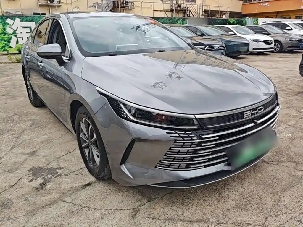 BYD Destroyer 05 2023 Champion DM-i 55KM Luxury