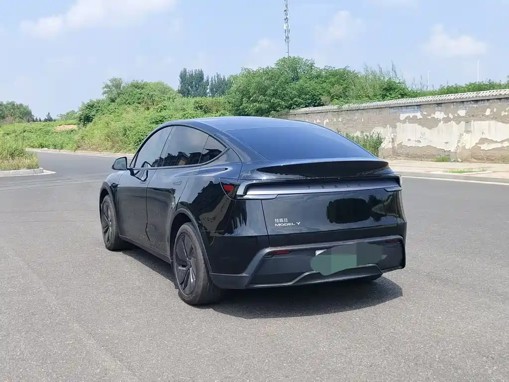 Tesla Model Y — миниатюра 4