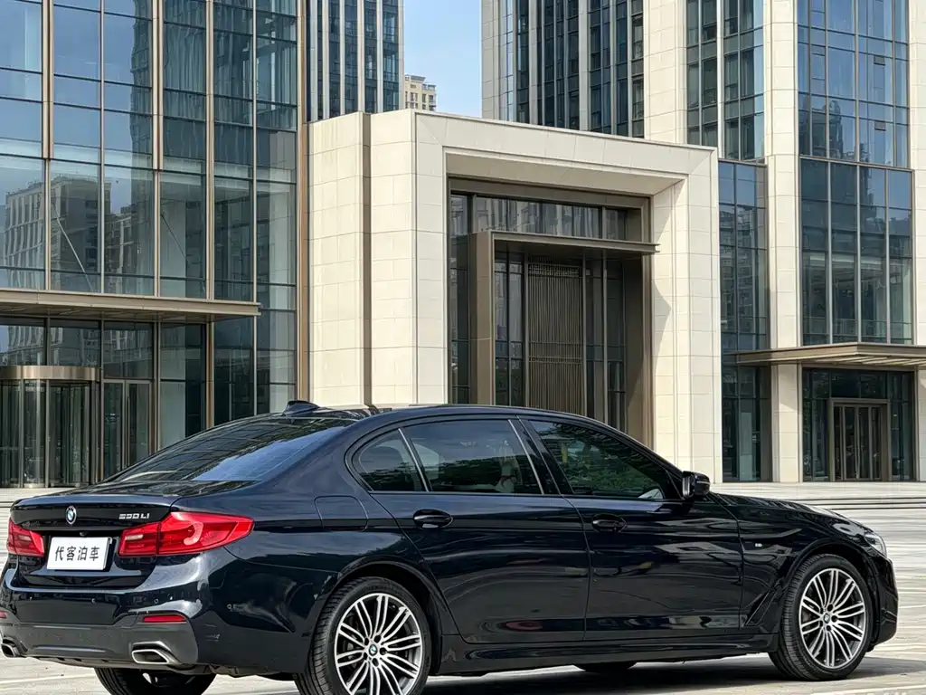 BMW 5 Series 5 2019 530Li Premium M Sport