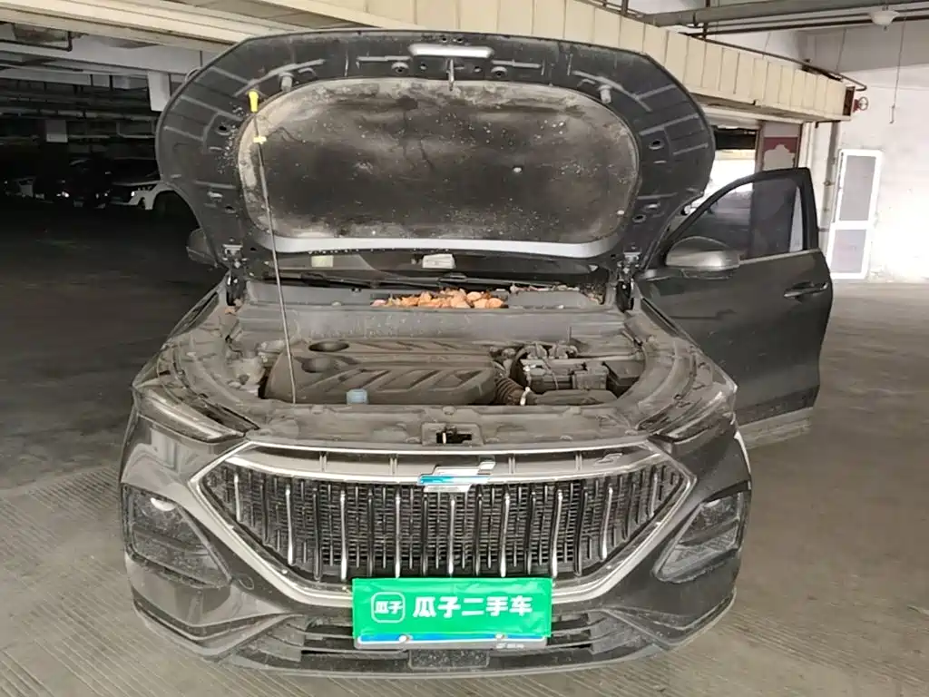 Oshan Oushang X5 — миниатюра 22
