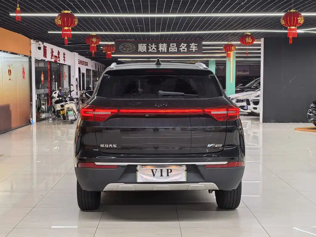 Weltmeister WEIMA EX5