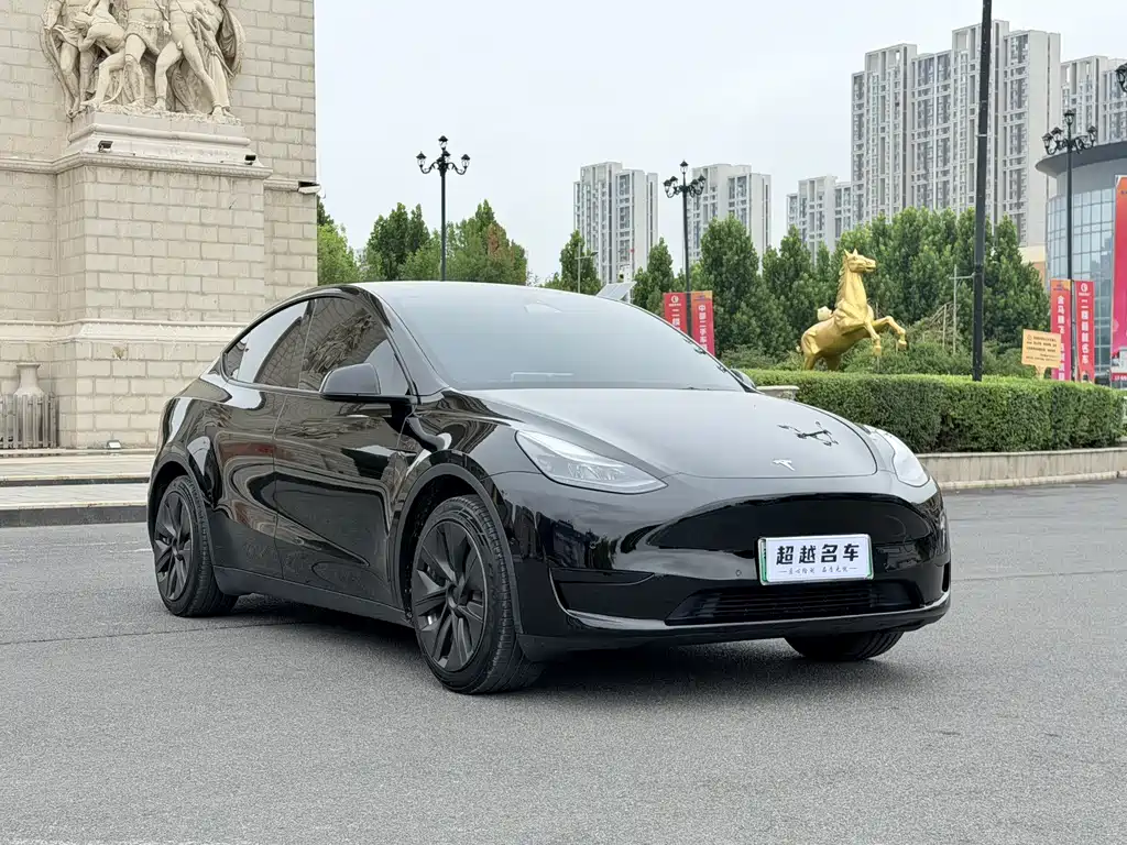 Tesla Model Y — миниатюра 3