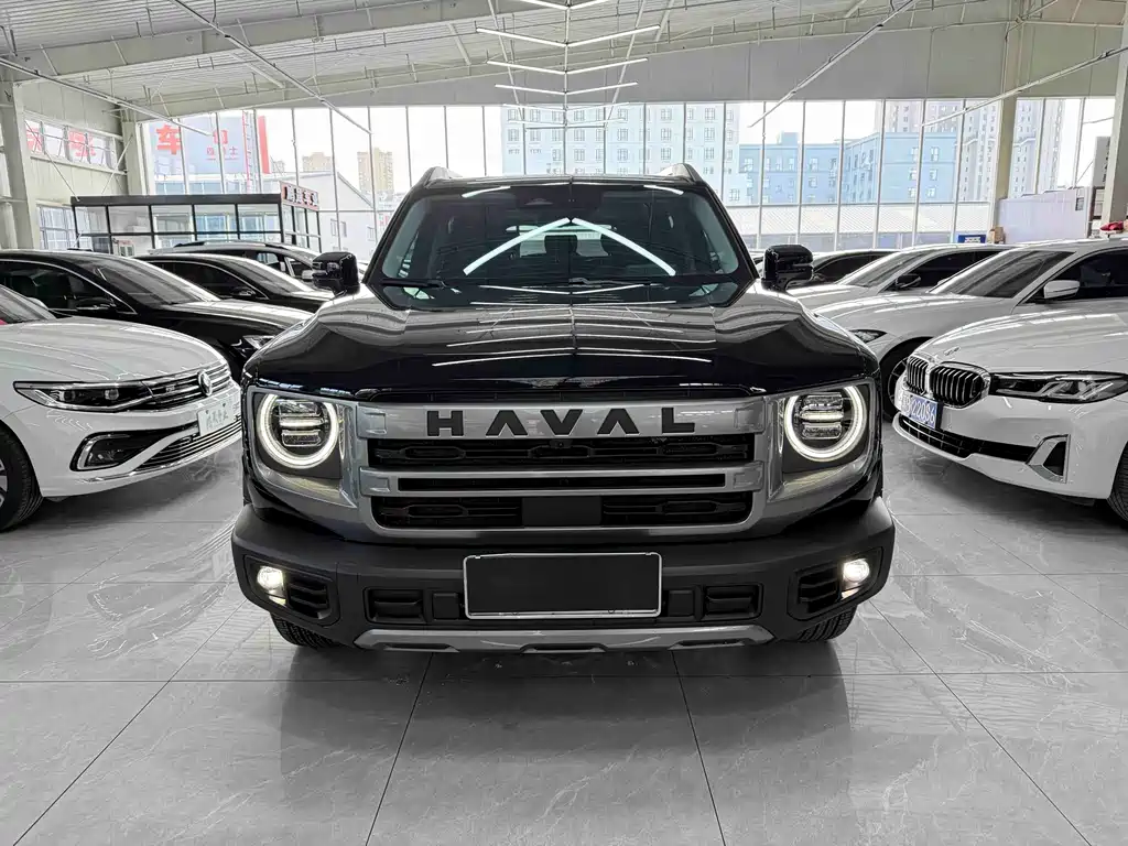 Haval Big Dog — миниатюра 2
