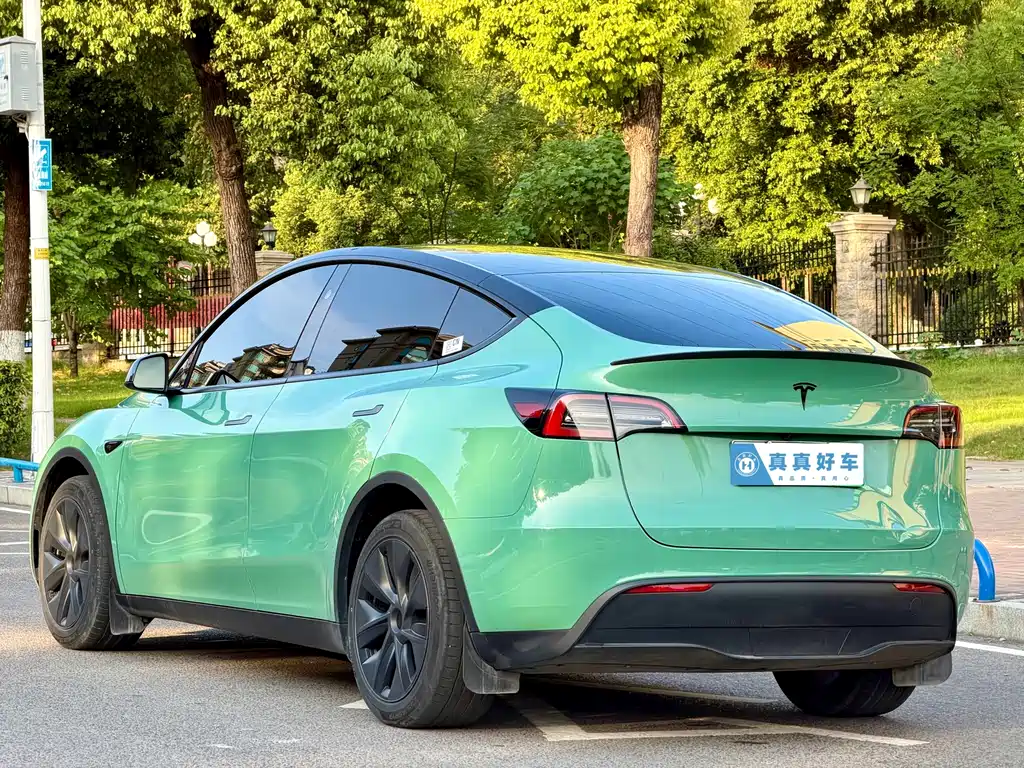 Tesla Model Y — миниатюра 6