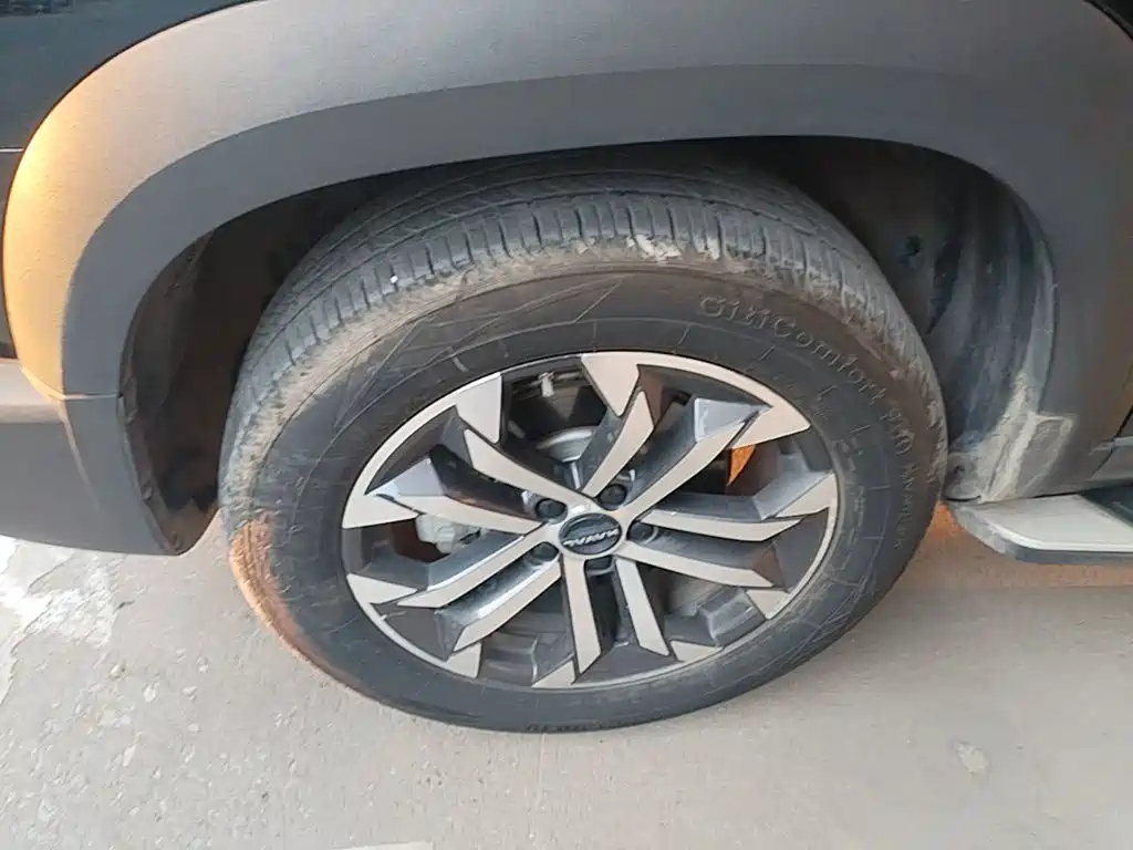 Haval Big Dog — миниатюра 23