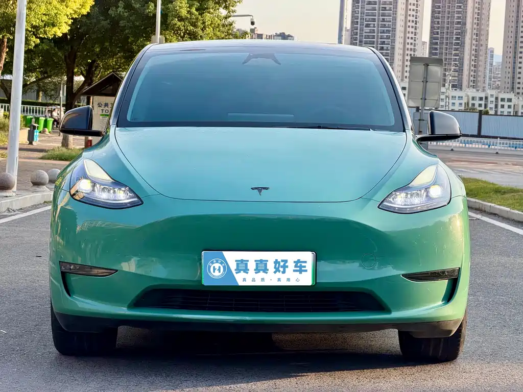 Tesla Model Y — миниатюра 2