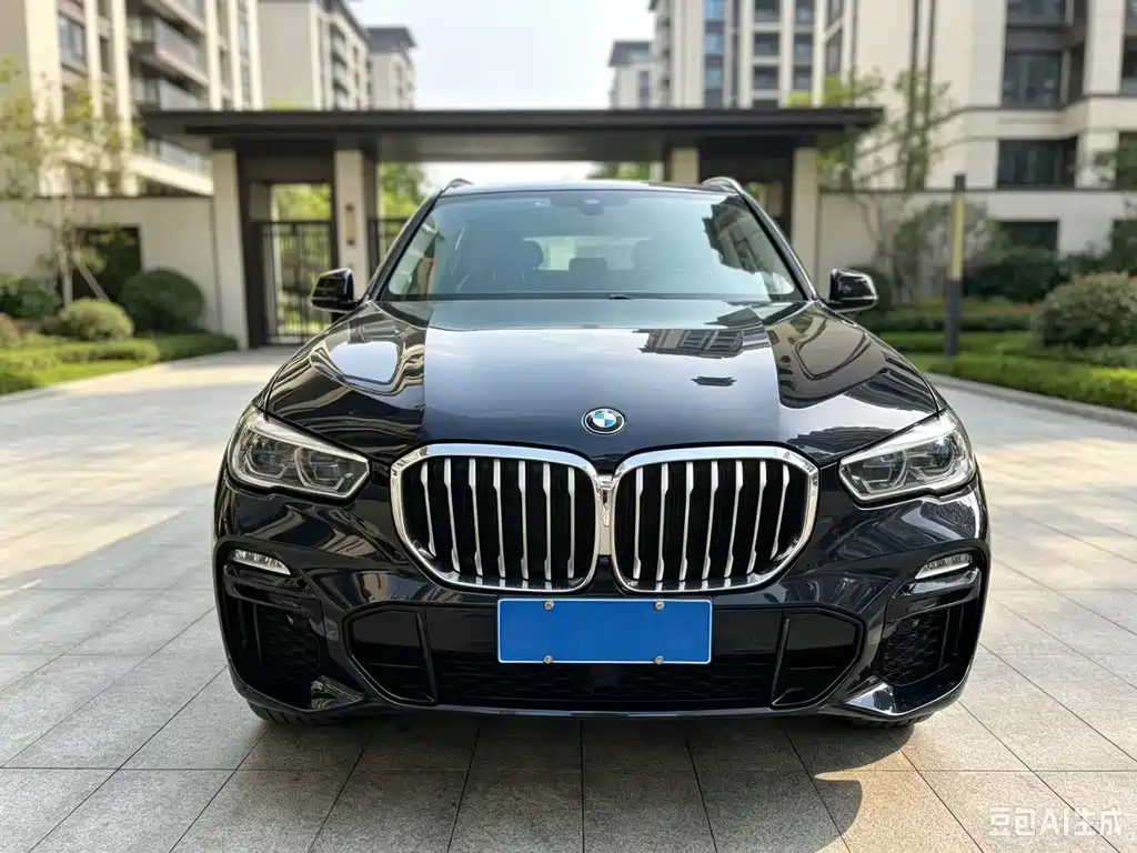 BMW X5 (Import) — миниатюра 2