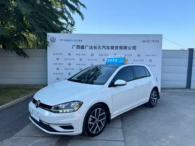 VOLKSWAGEN GOLF 2019