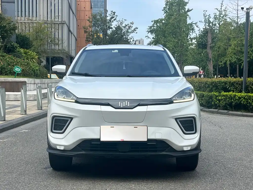 WM Motor EX5 — миниатюра 5