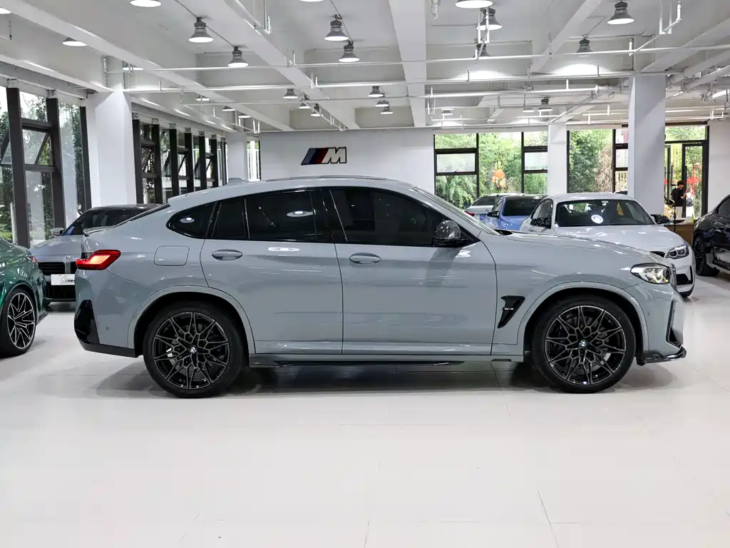 BMW X4 M X4 M Thunder Edition, фото 4
