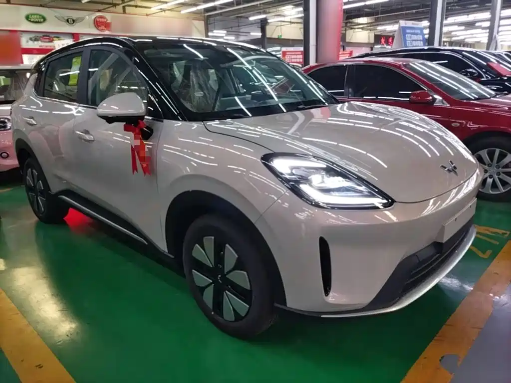 Wuling BinguoS S 2025 325km Premium