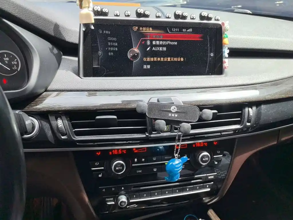 BMW X5 (Import) — миниатюра 14