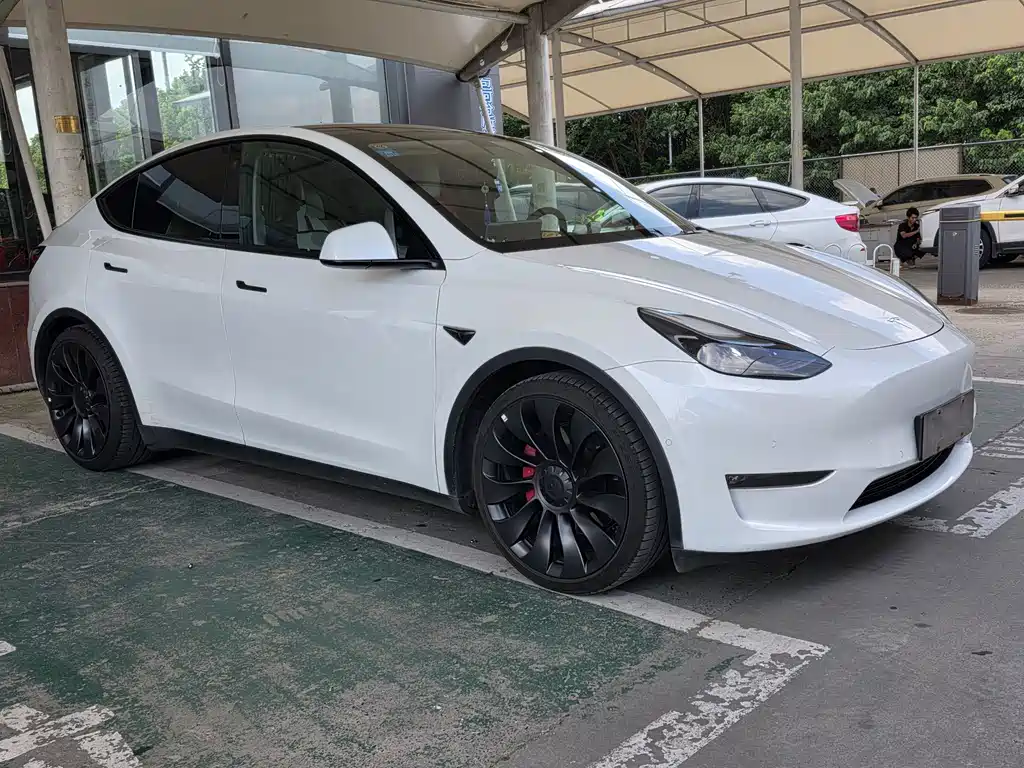 Tesla Model Y — миниатюра 3