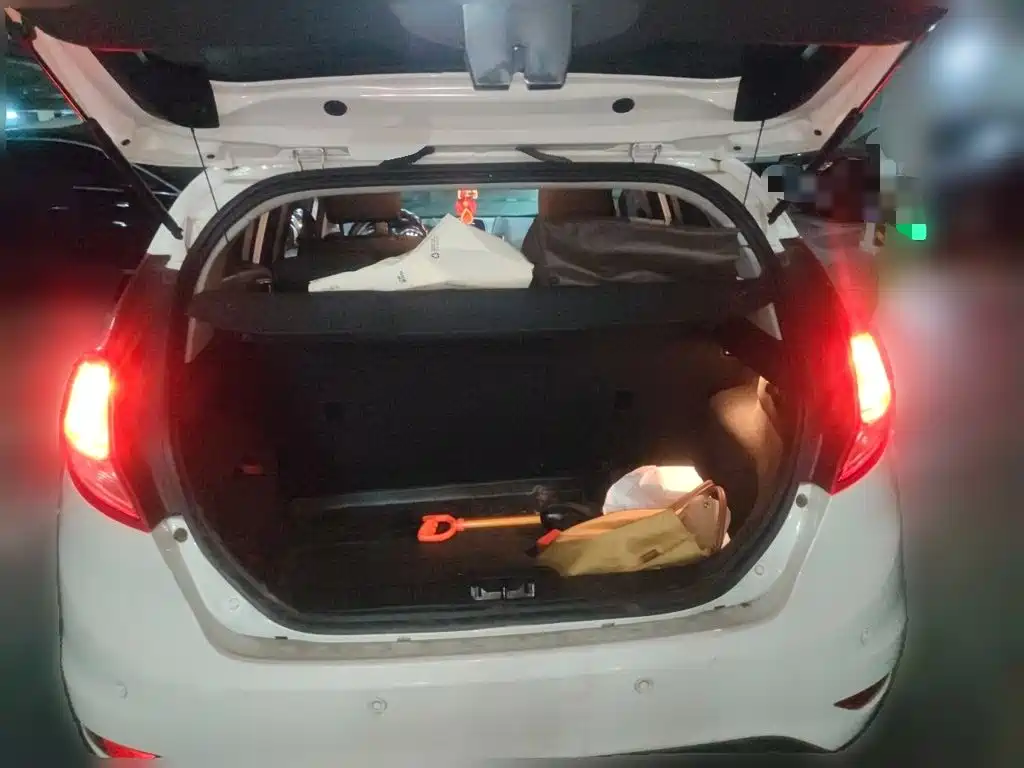 Ford Fiesta — миниатюра 10