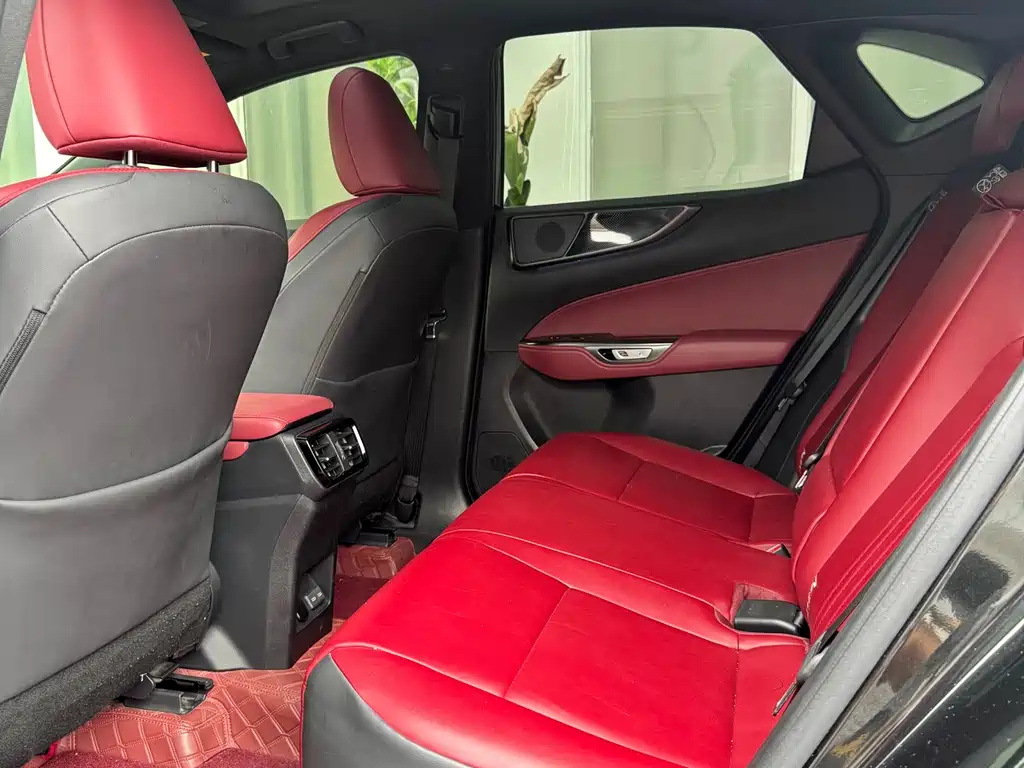 Lexus NX 2023 260