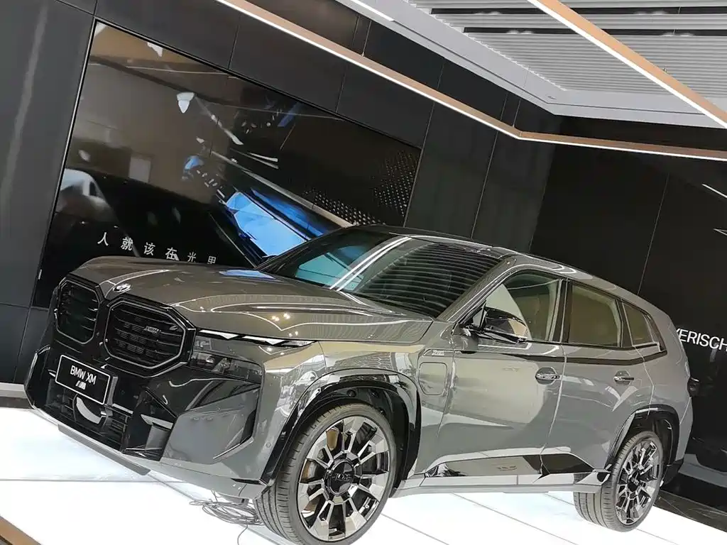 BMW XM — миниатюра 3