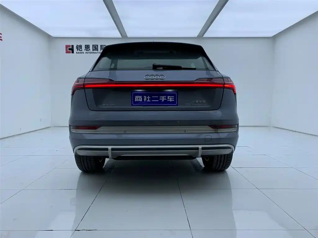 Audi e-tron 2021 50 quattro Luxury