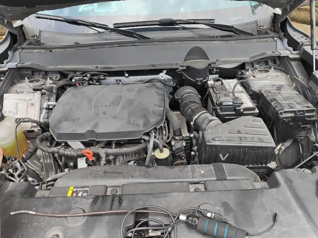 Haval Big Dog PLUS — миниатюра 11