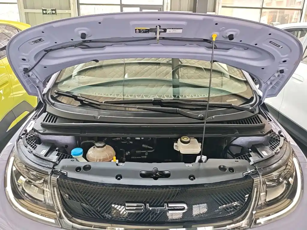 BYD Dolphin — миниатюра 20
