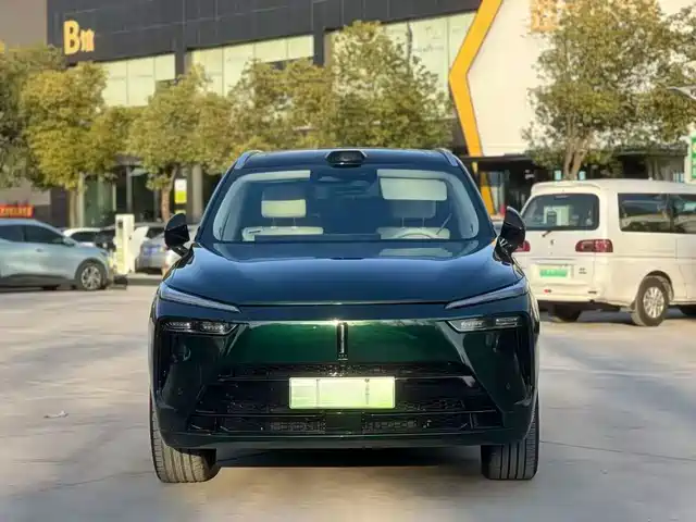 WEI PAI WEI BRAND BLUE MOUNTAIN 2024