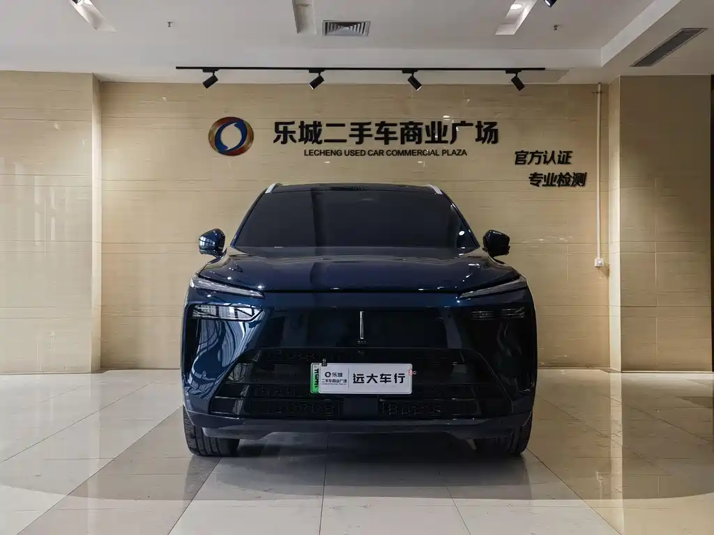 WEI PAI WEI BRAND BLUE MOUNTAIN