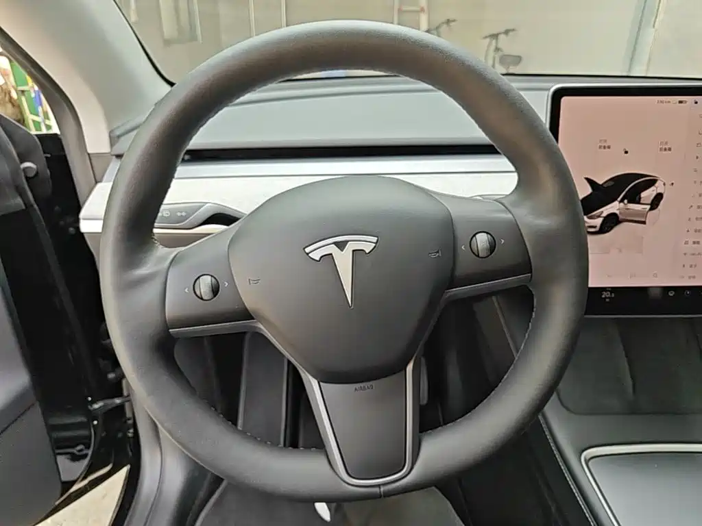 Tesla Model Y — миниатюра 11
