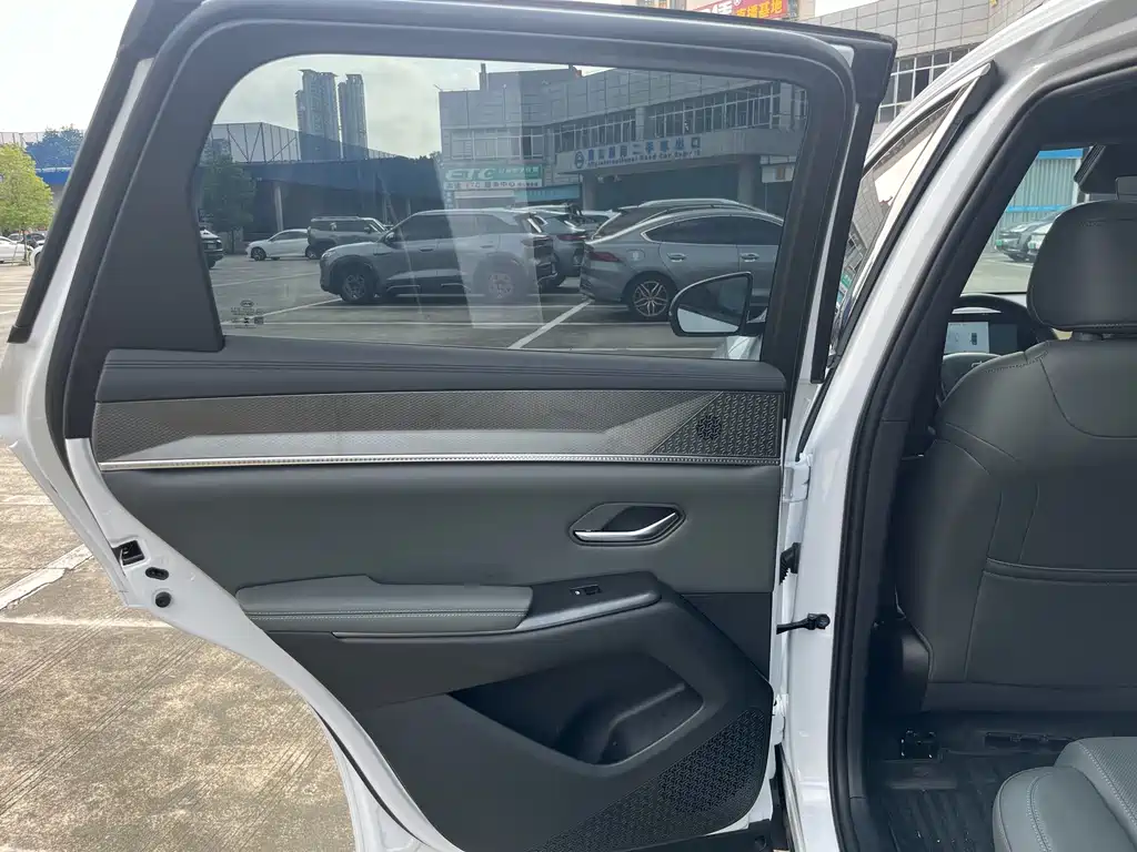 BYD Pro New Energy — миниатюра 7