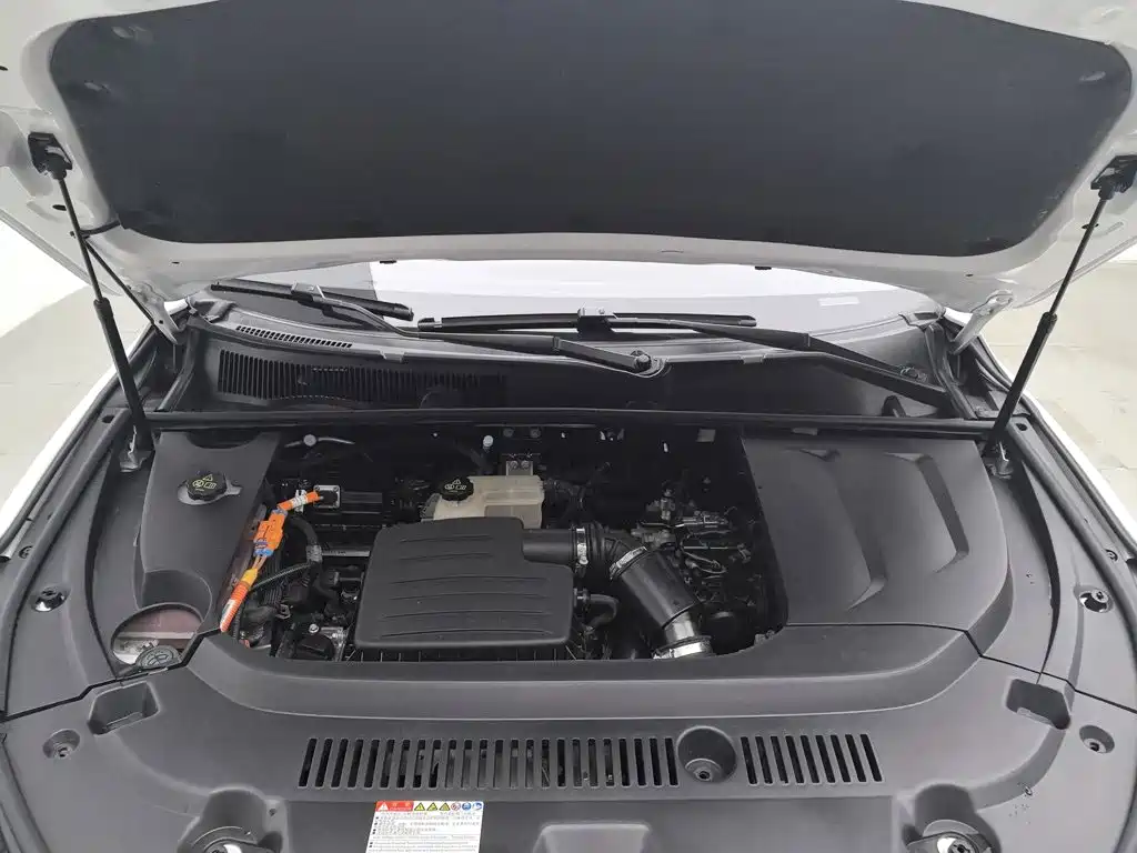 BYD New Energy — миниатюра 6