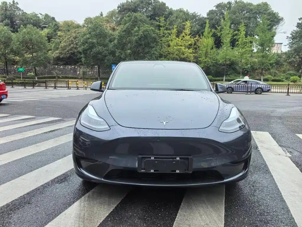 Tesla Model Y — миниатюра 3