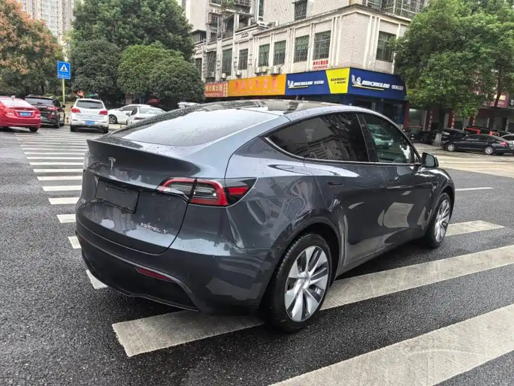 Tesla Model Y — миниатюра 6