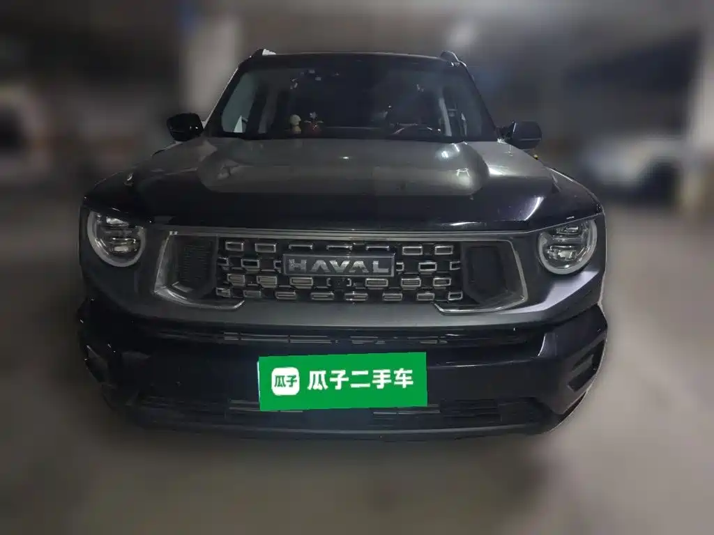 Haval Big Dog PLUS — миниатюра 23