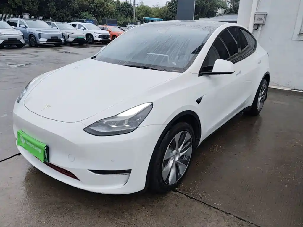 Tesla Model Y — миниатюра 2