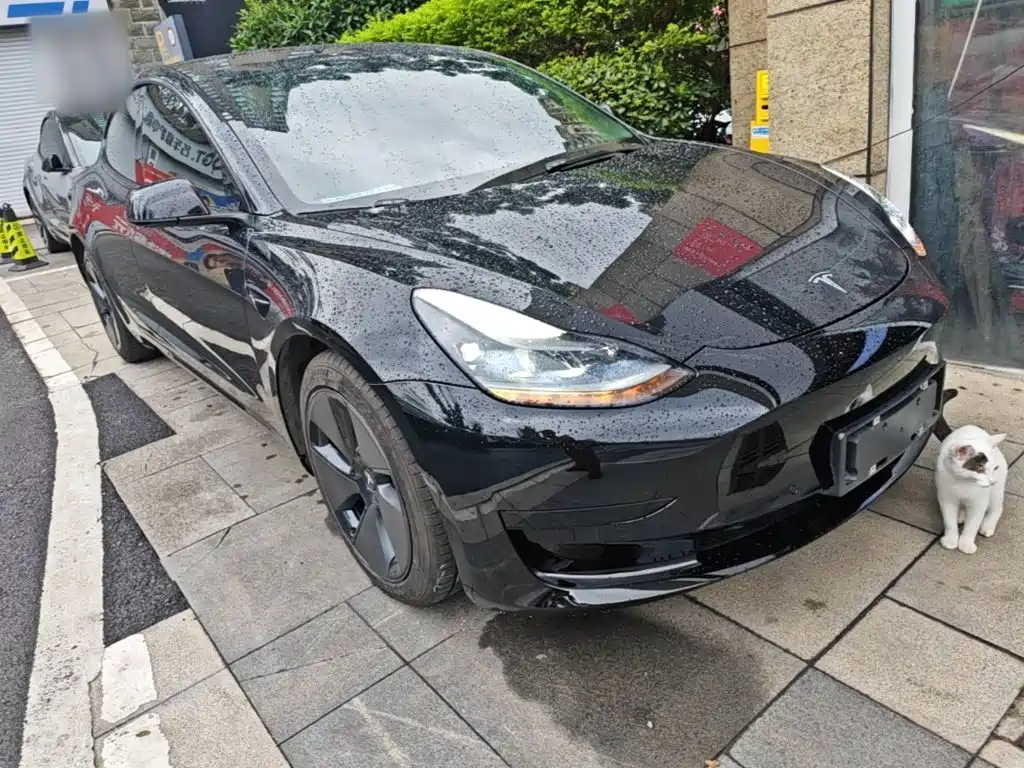 Tesla Model 3 — миниатюра 4