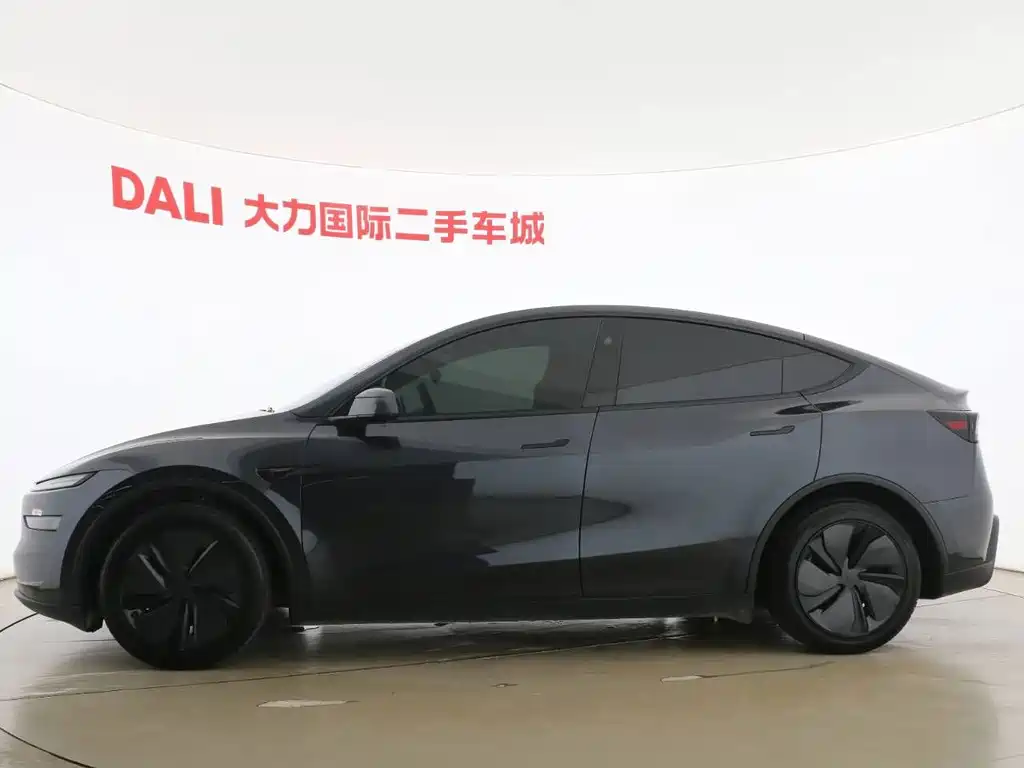 Tesla Model Y — миниатюра 6