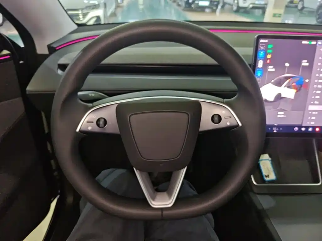 Tesla Model Y — миниатюра 11