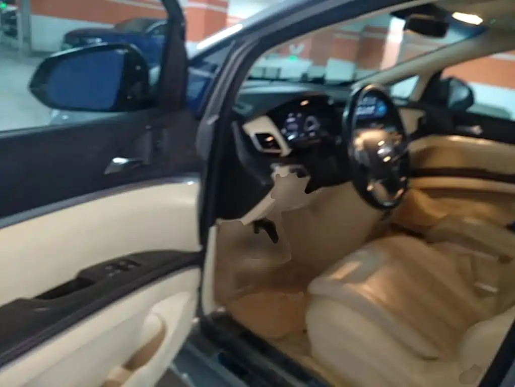 Buick GL8 — миниатюра 16