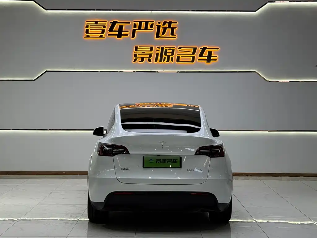 Tesla Model Y — миниатюра 12