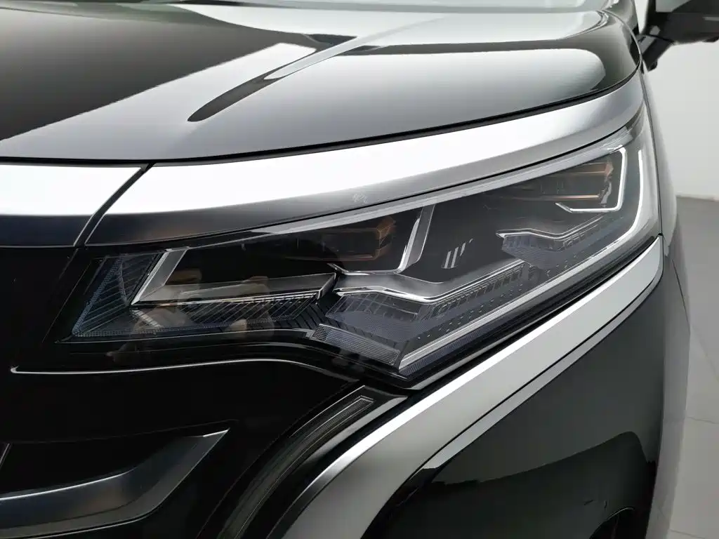 Denza Denza D9 — миниатюра 7