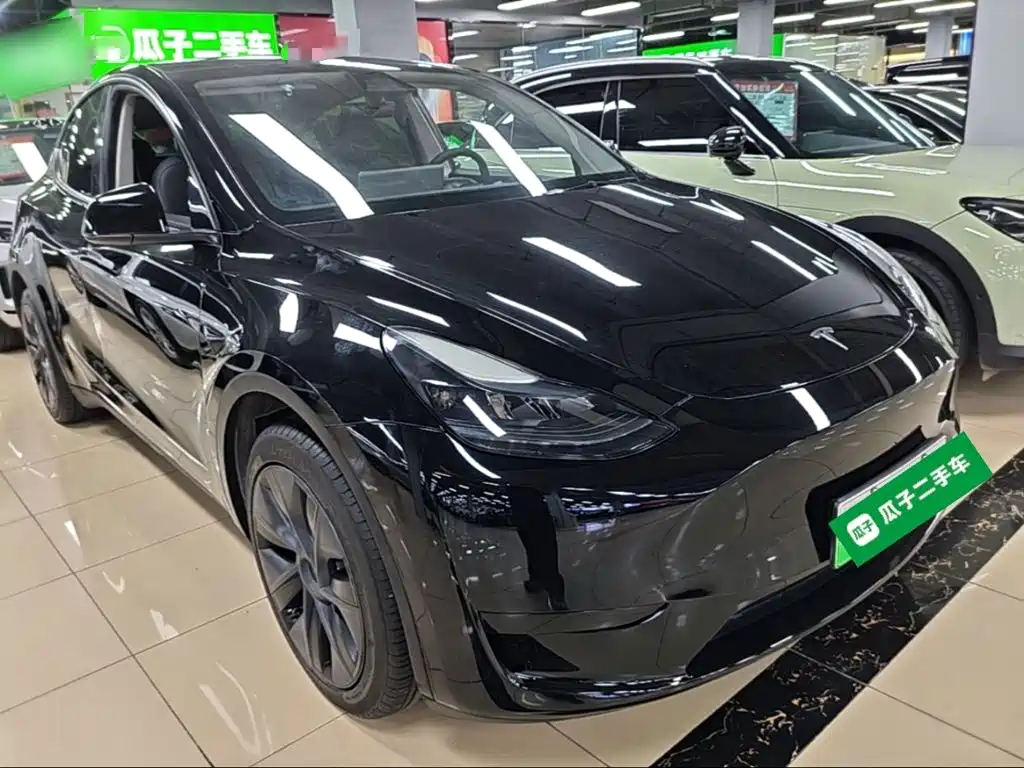 Tesla Model Y — миниатюра 4